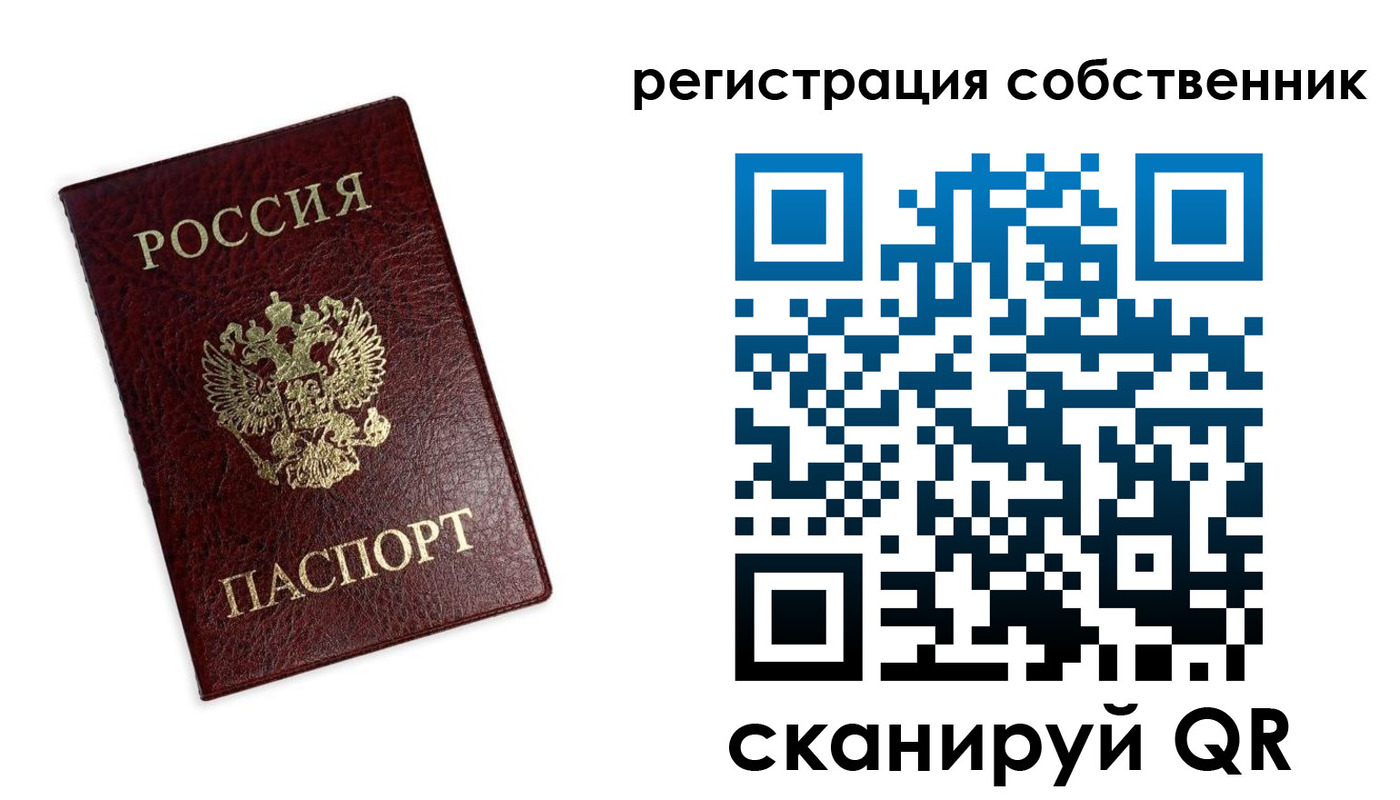 временная регистрация для школы в Новгородской области